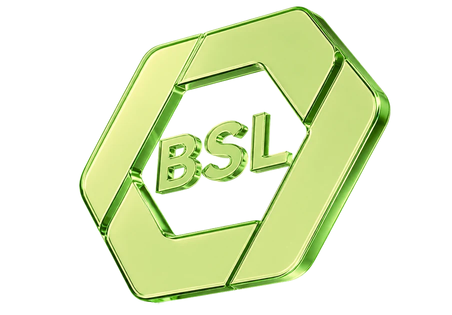 BSL — Bhayani Securities