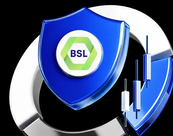 BSL institutional brokerage — a shield over PSX candlesticks